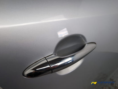 Door Rear RH 4