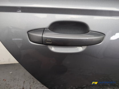 Door Rear RH 4