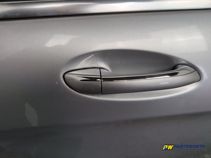 Door Rear RH 4