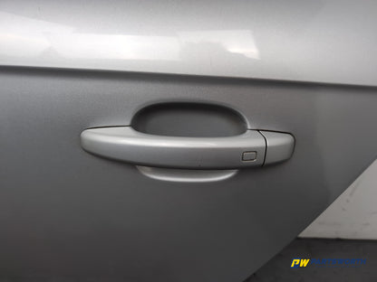 Door Rear LH 11