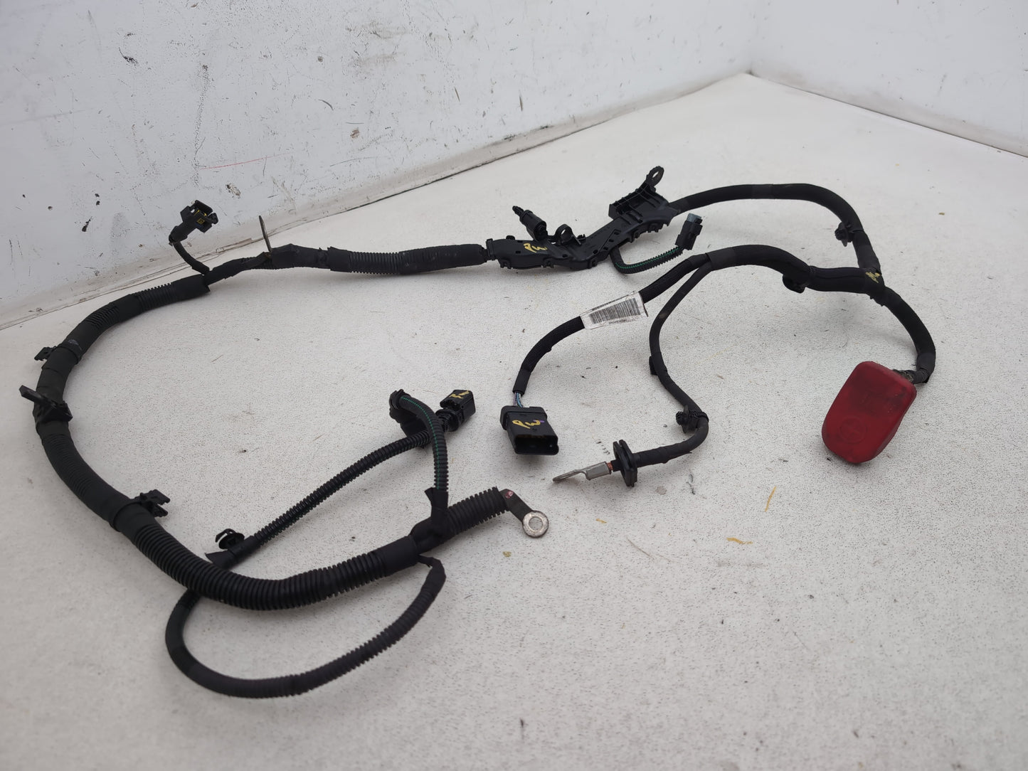 Engine Wiring Harness  3