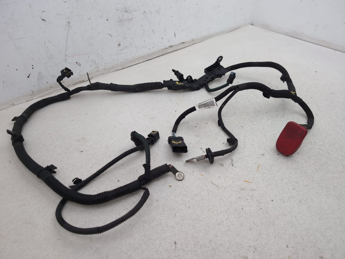 Engine Wiring Harness  3