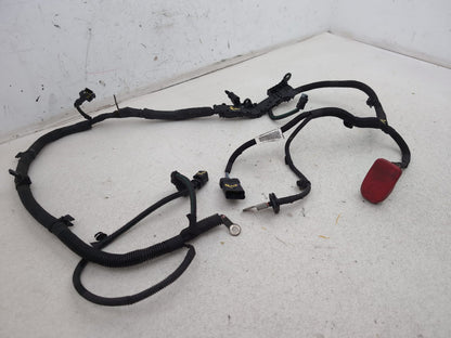 Engine Wiring Harness  3