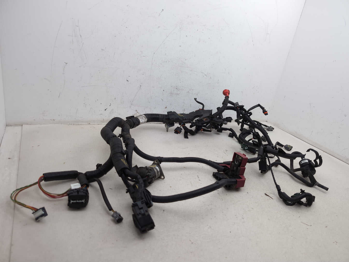 Engine Wiring Harness  3