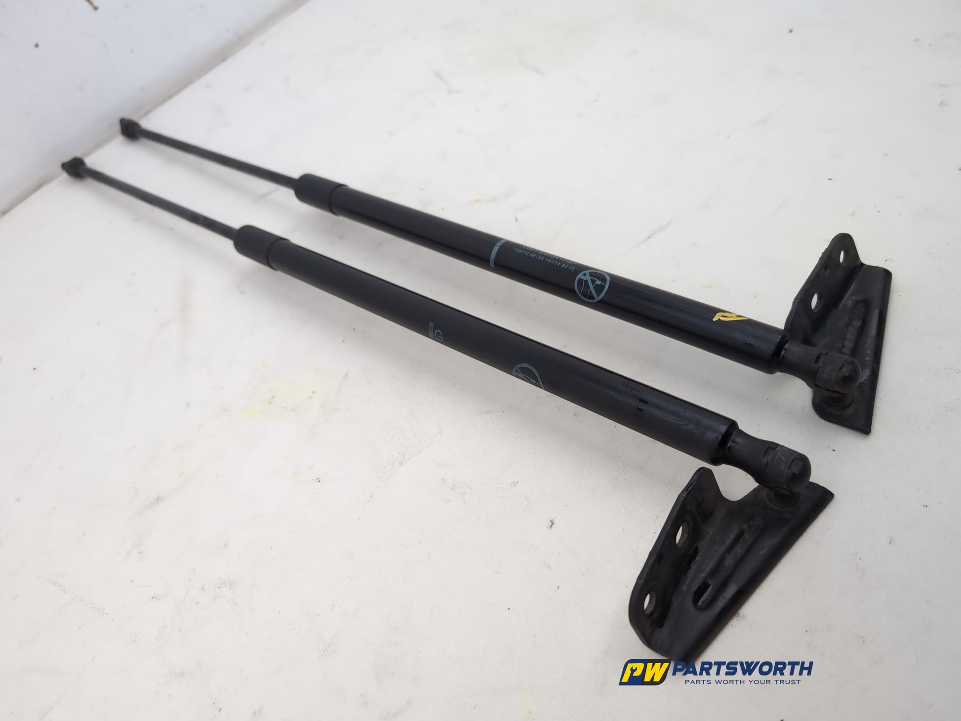 Tailgate Support Strut 3