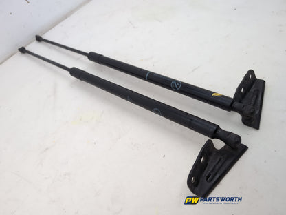 Tailgate Support Strut 3