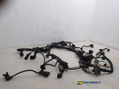 Engine Wiring Harness  3