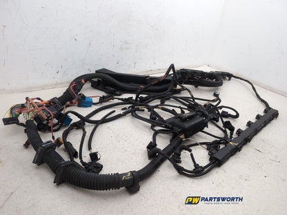 Engine Wiring Harness  3