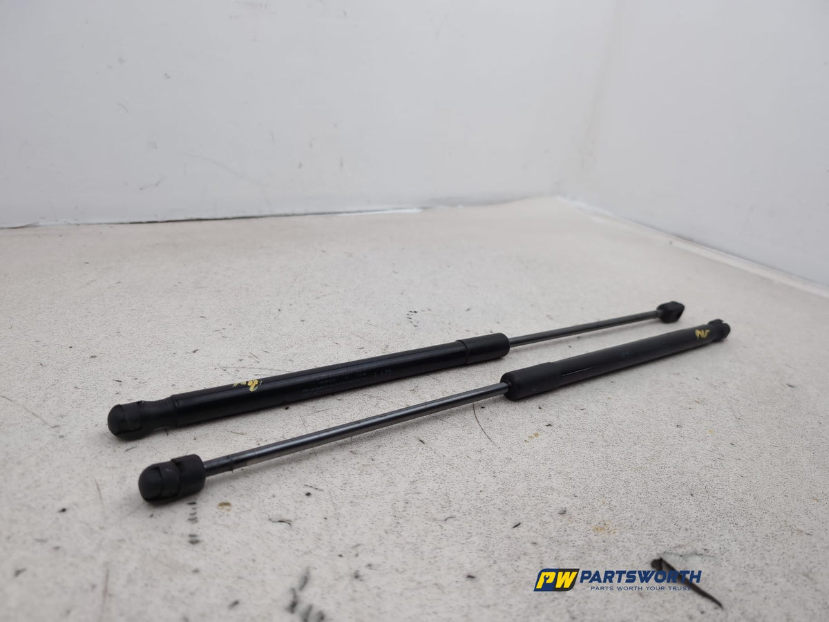Tailgate Support Strut 3