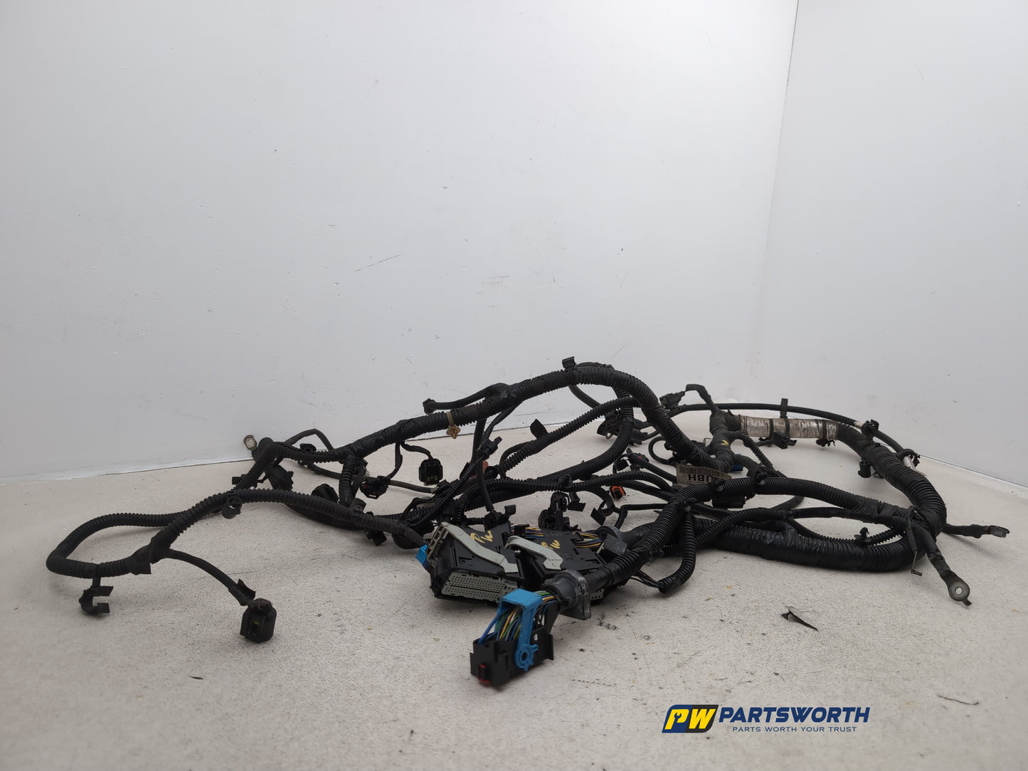 Engine Wiring Harness  3