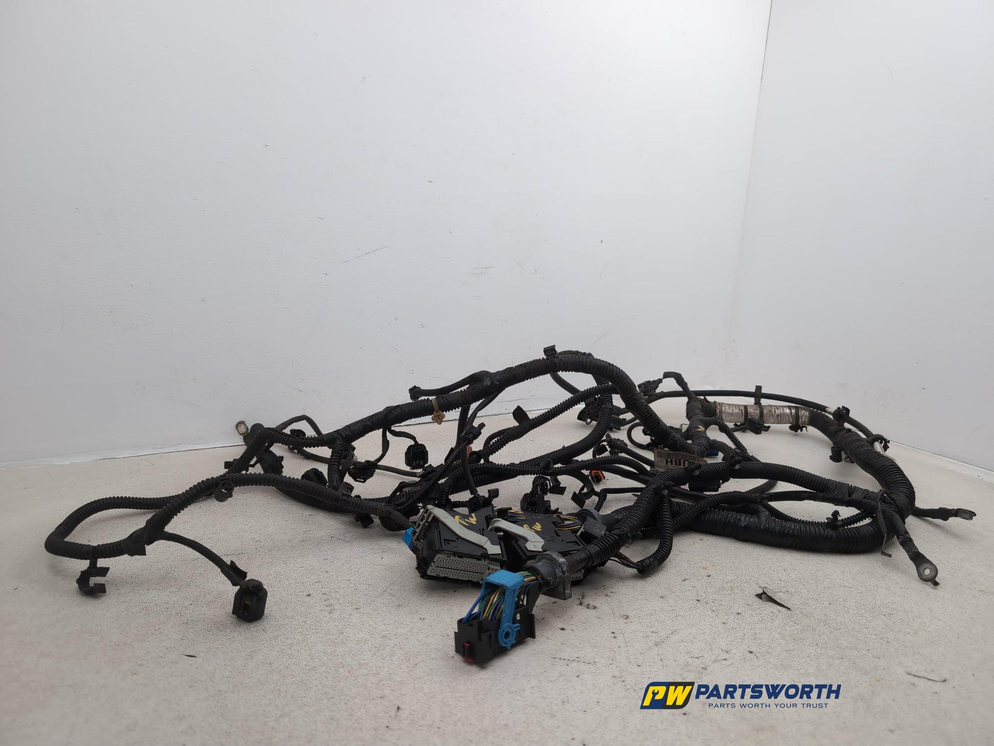Engine Wiring Harness  3