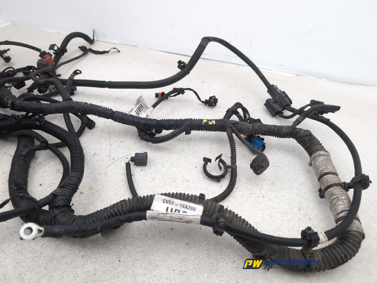 Engine Wiring Harness  8