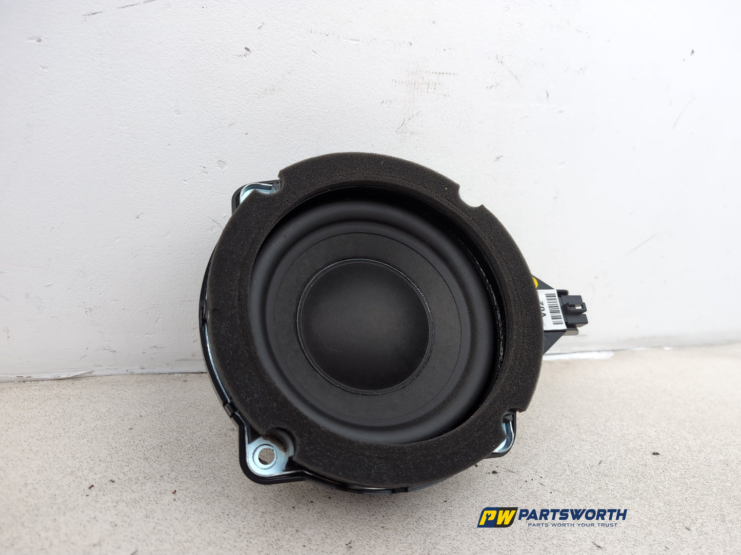 Speaker 5