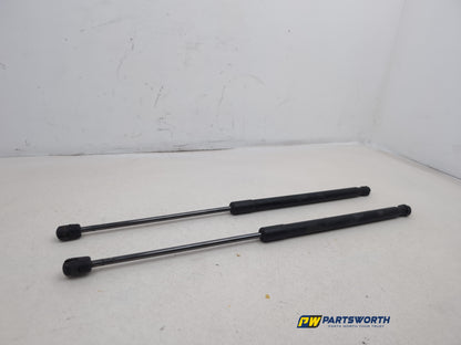 Tailgate Support Strut 5