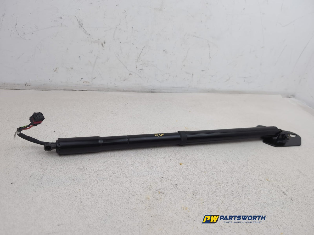 Tailgate Support Strut 3