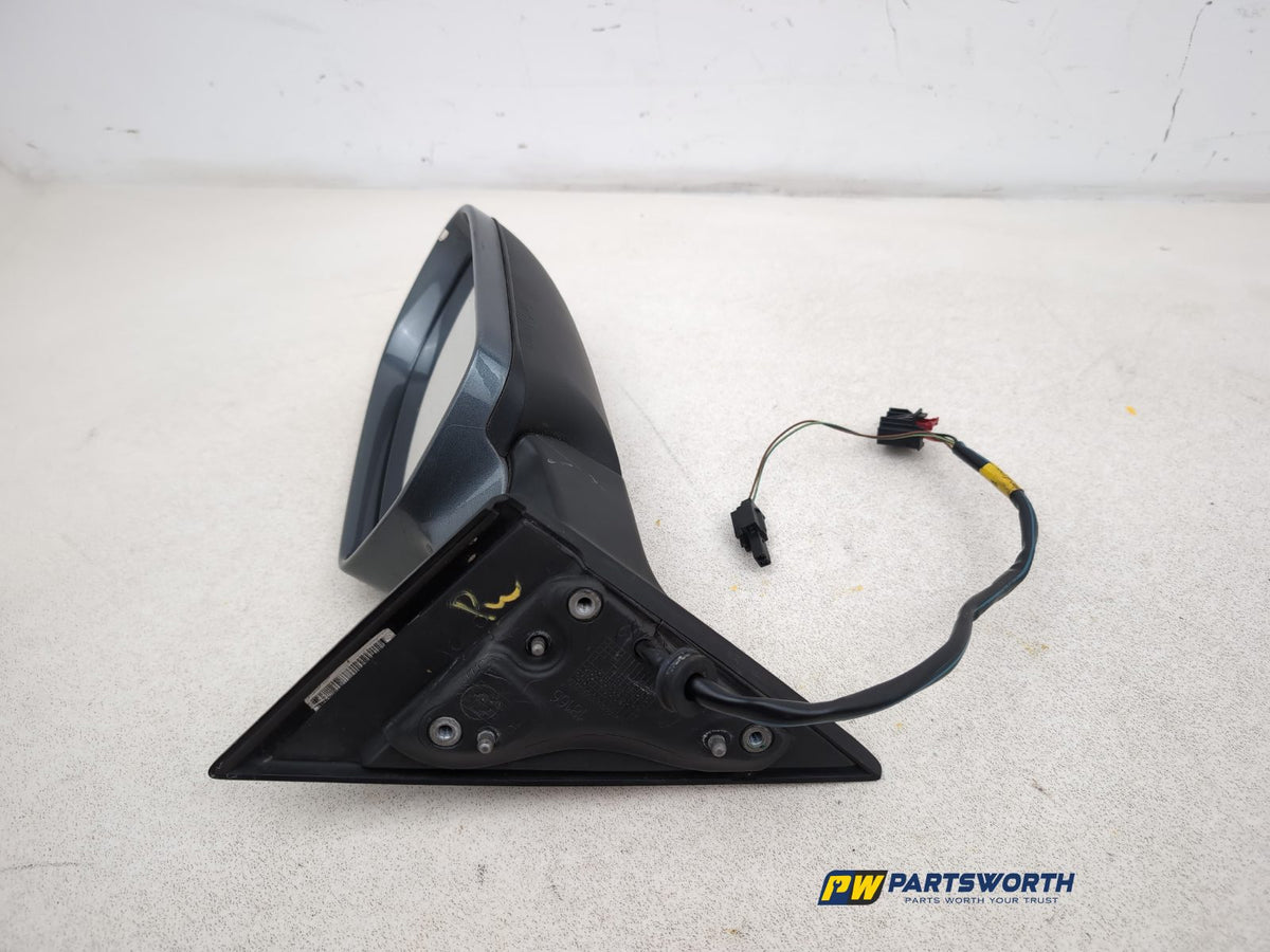 Door Mirror RH 3