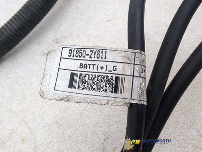 Wiring loom 3