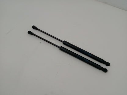 Tailgate Support Strut 6