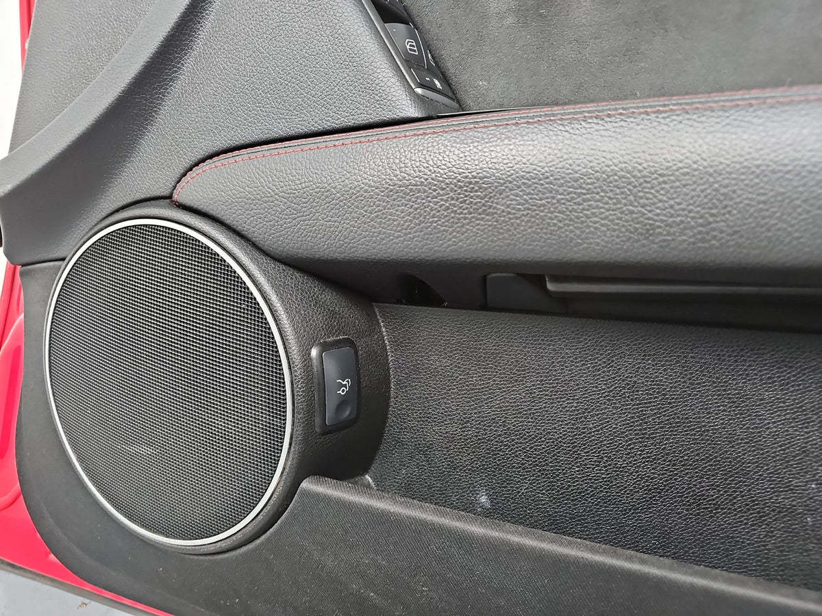 Door Front RH 11