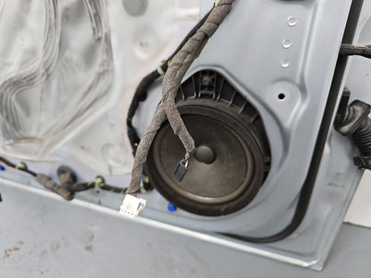 Door Front LH 12