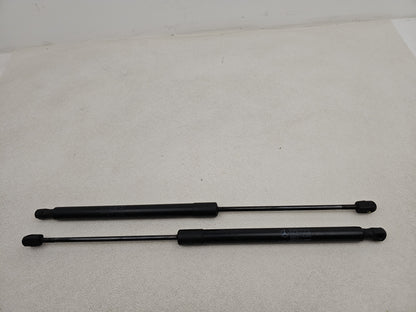 Tailgate Support Strut 6
