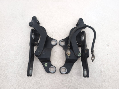 Bonnet Hinges 12
