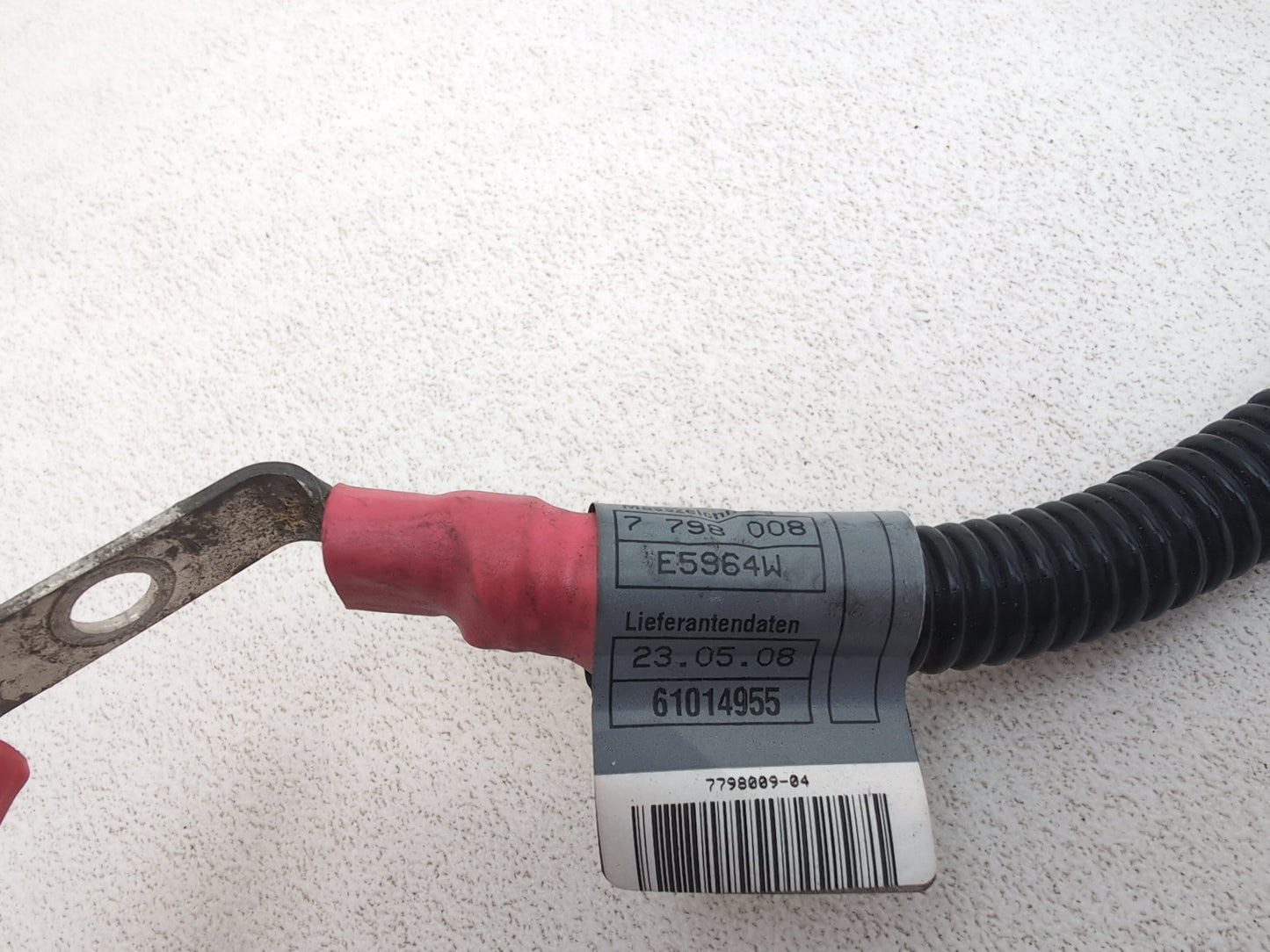 Engine Wiring Harness  6