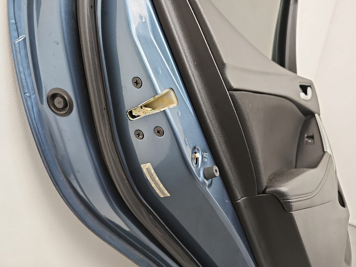 Door Rear LH 6