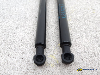 Bonnet Hinges 6