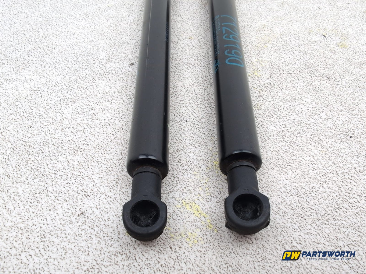 Bonnet Hinges 6
