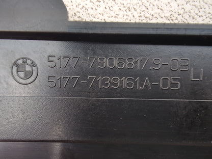 Door Step Insert Cover Trim LH 2