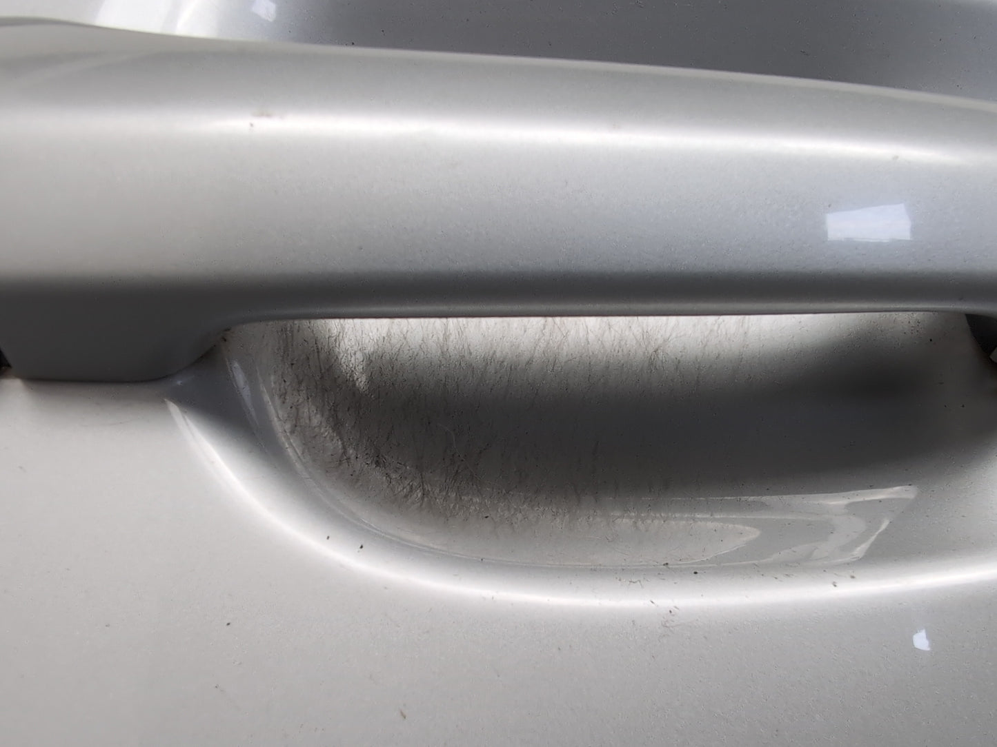 Door Rear RH 6