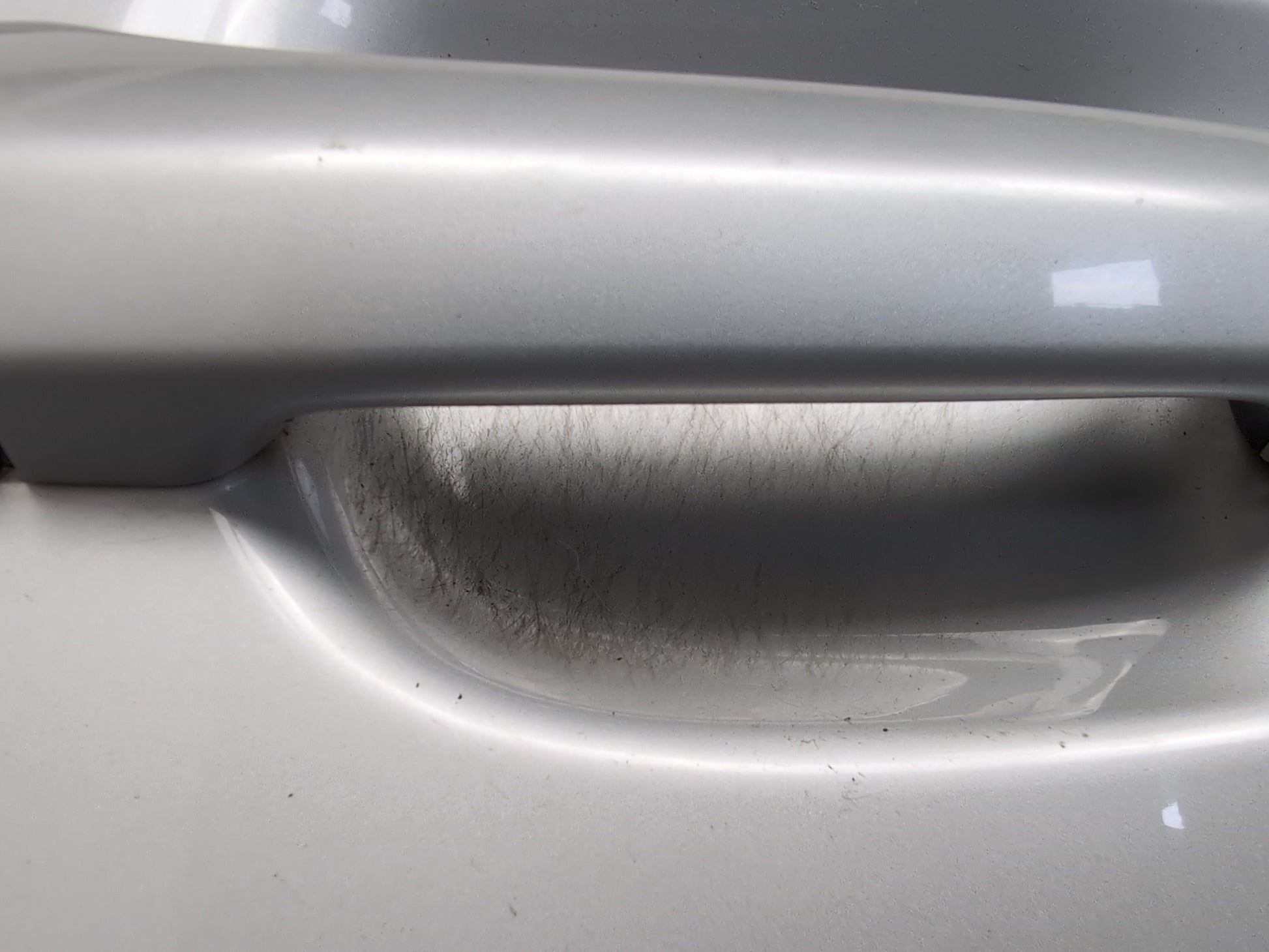 Door Rear RH 6