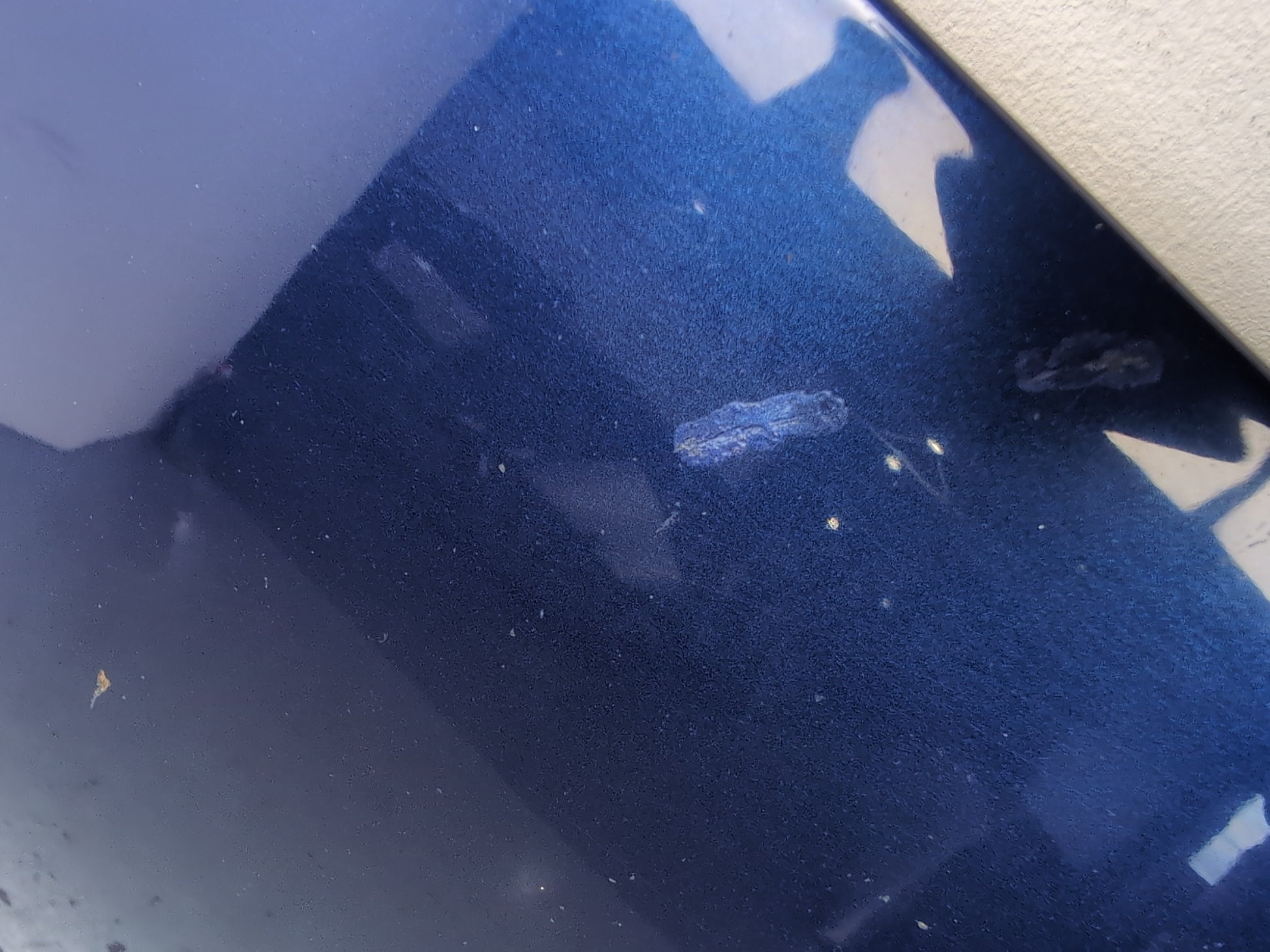 Bonnet 6