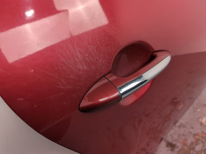 Door Rear RH 6