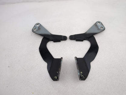 Bonnet Hinges 6