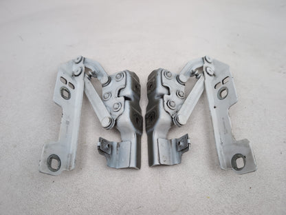Bonnet Hinges 6