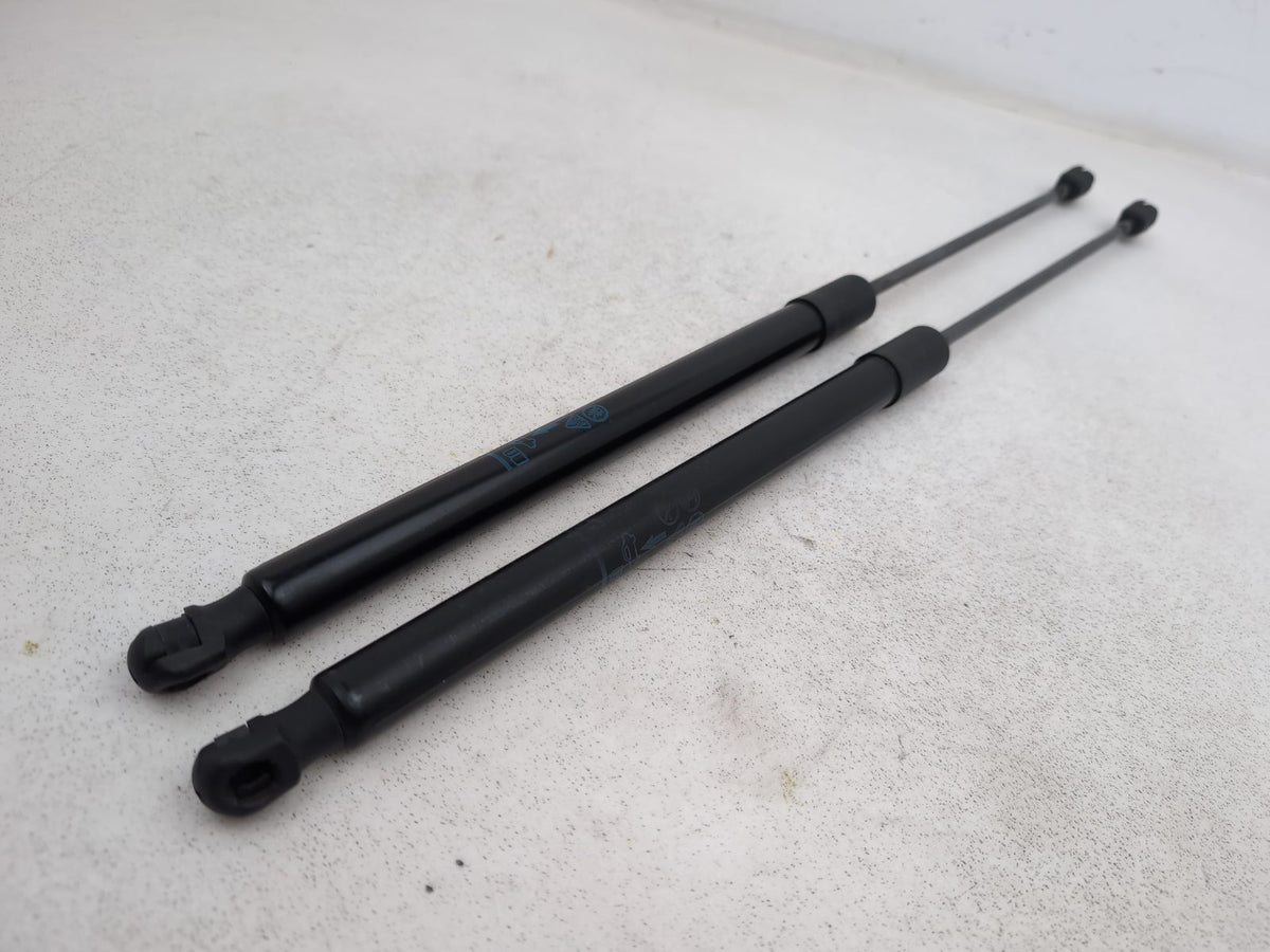 Tailgate Support Strut 6
