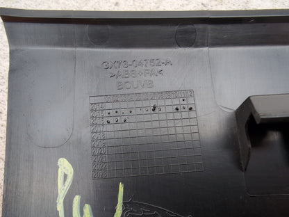 Dashboard Trims  10
