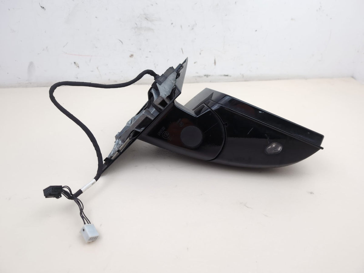 Door Mirror RH 6