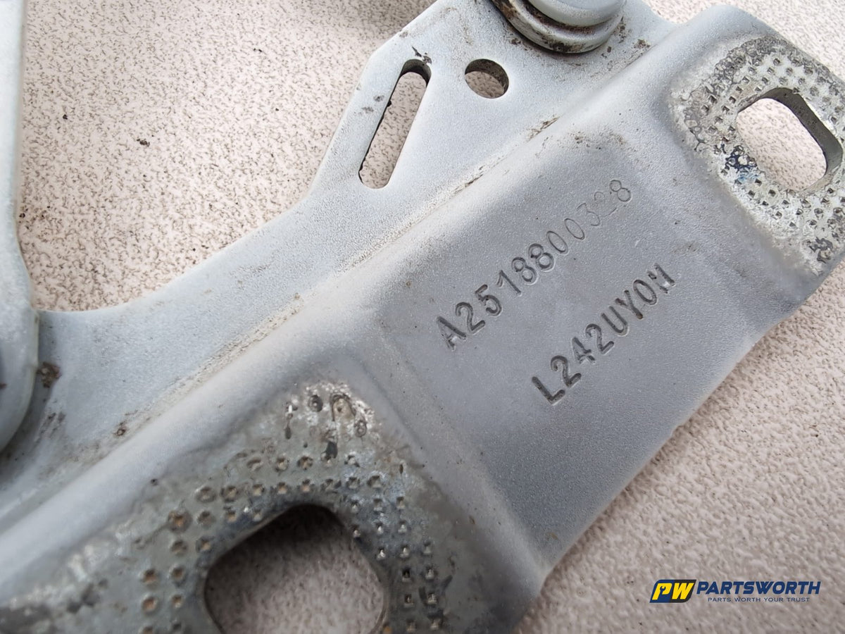 Bonnet Hinges 6