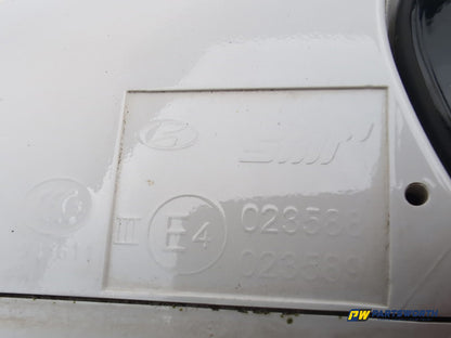 Door Mirror RH 6