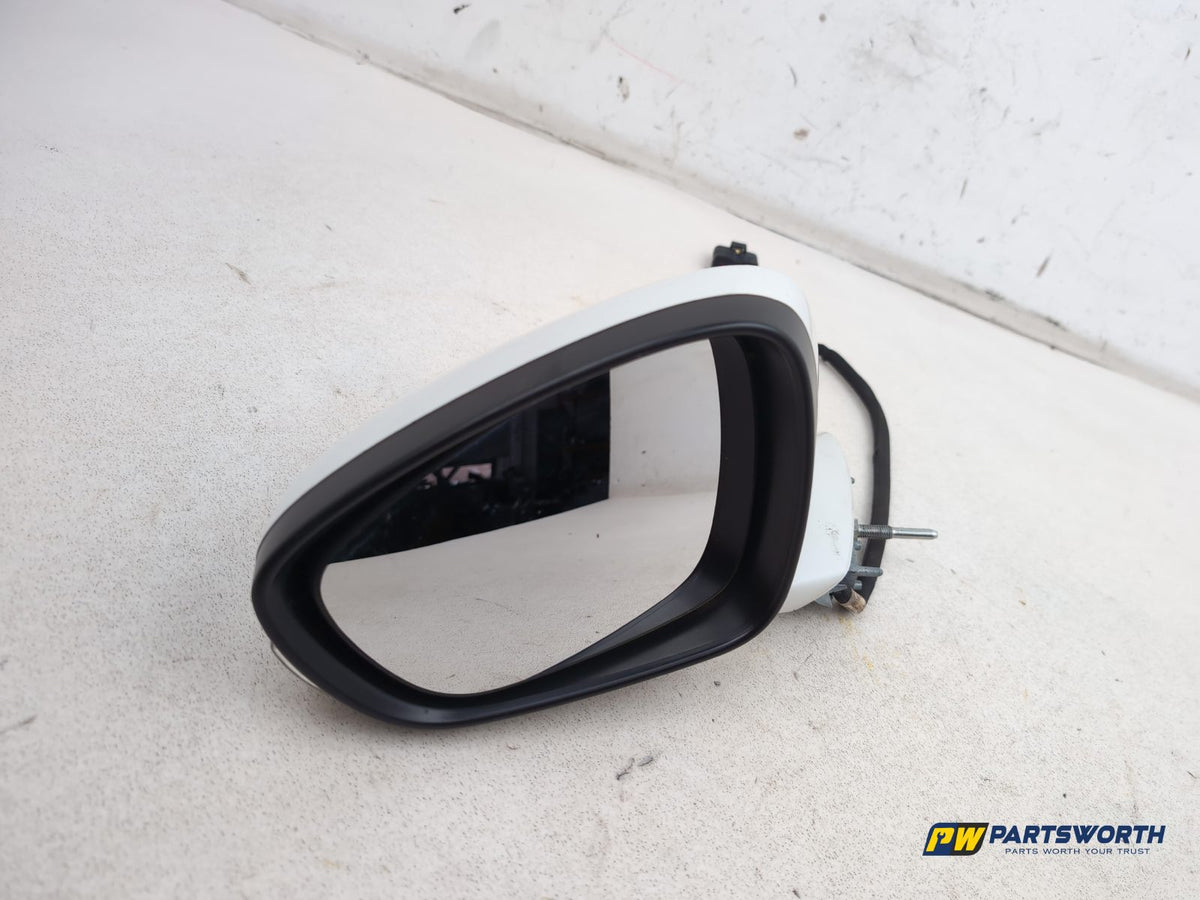 Door Mirror LH 6