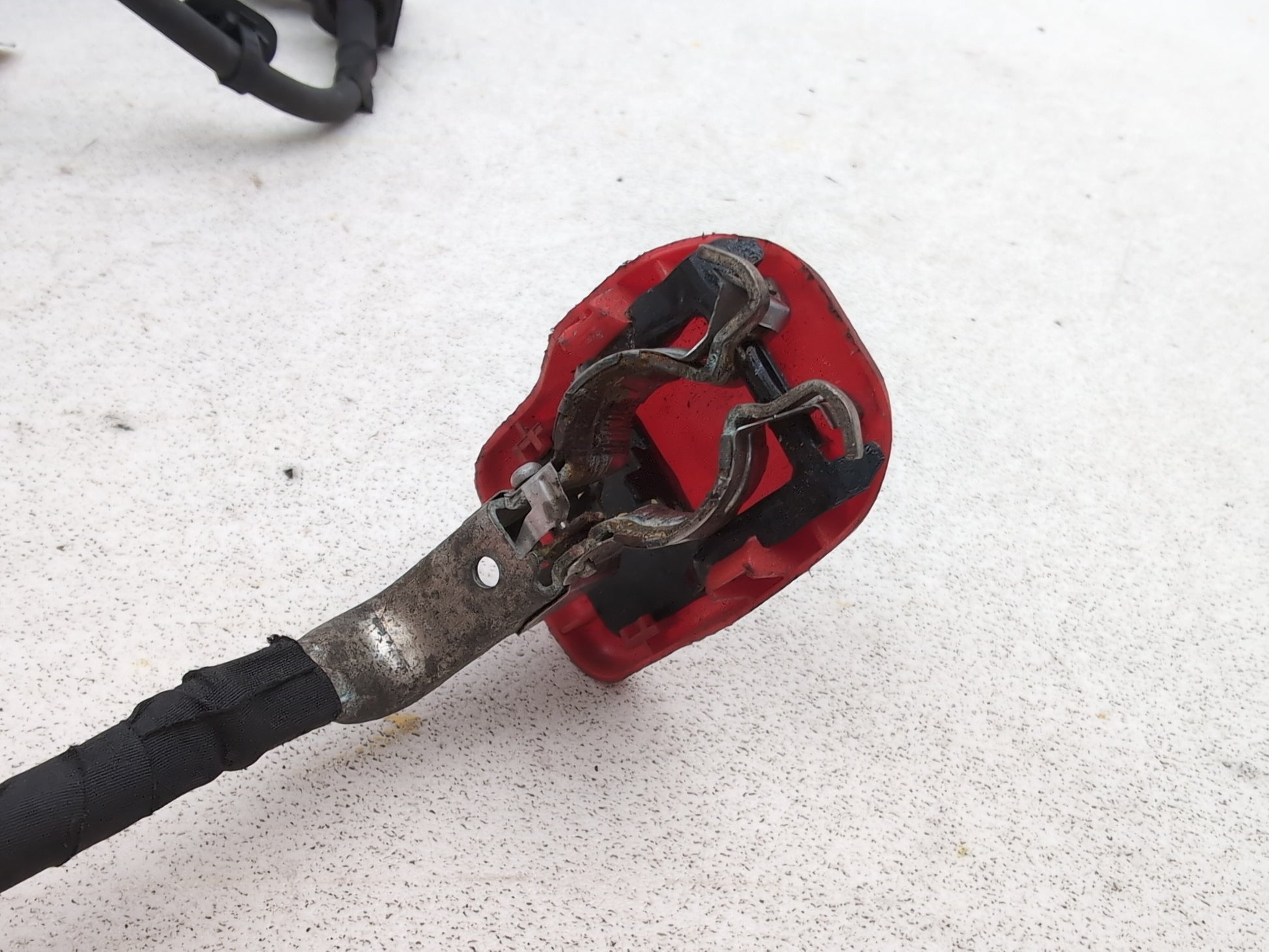 Engine Wiring Harness  5