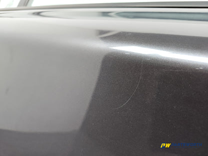 Door Rear RH 5