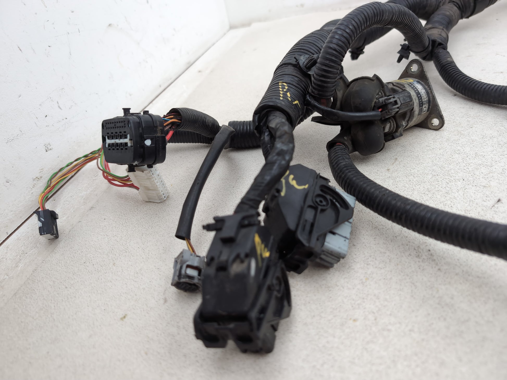 Engine Wiring Harness  5