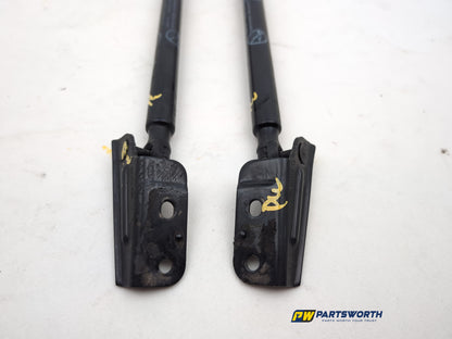 Tailgate Support Strut 5