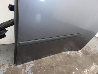 Door Rear LH 5