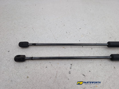Tailgate Support Strut 5