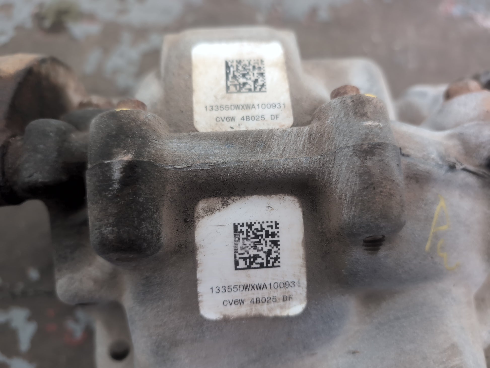 Differential Rear 5